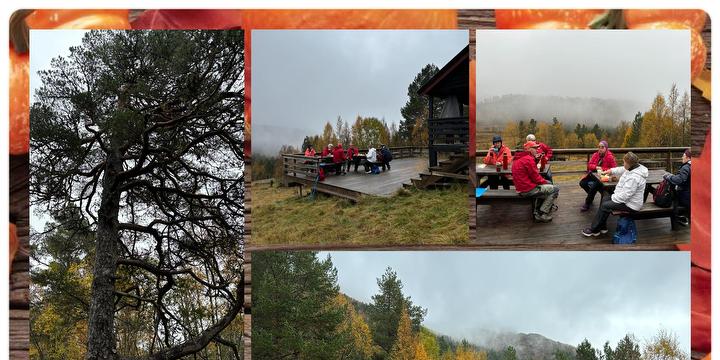 Bilde/illustrasjon for Gå med oss! Gå med oss!